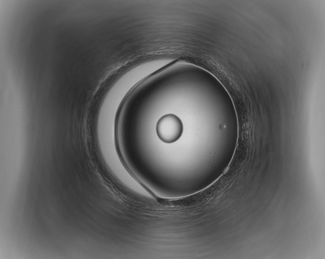 X0000116370688200912091238