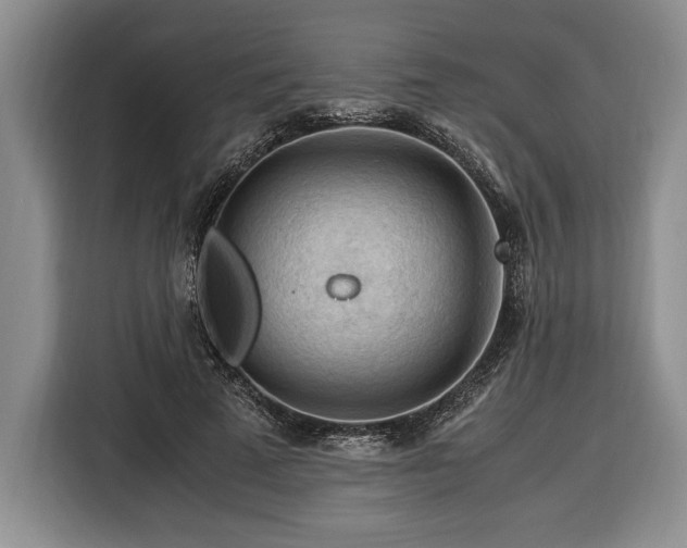 X0000116370689200912091238