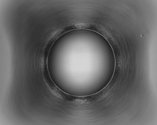 X0000116370690200912091238