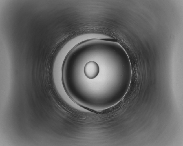 X0000116370692200912091238