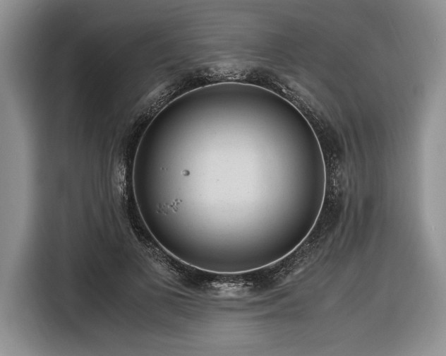 X0000116370693200912091238