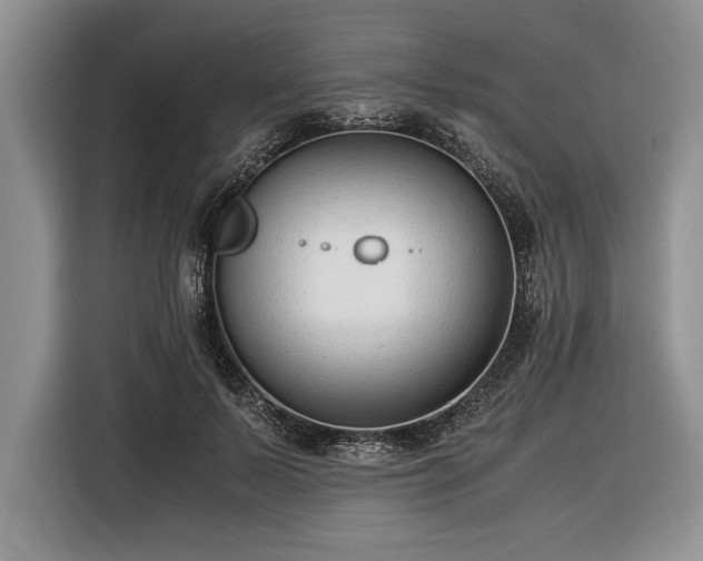 X0000116370695200912091238