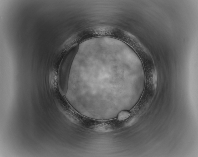 X0000116370696200912091238