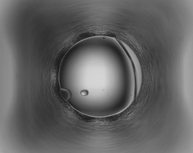 X0000116370697200912091238