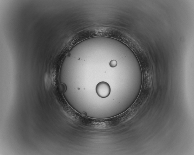 X0000116370698200912091238