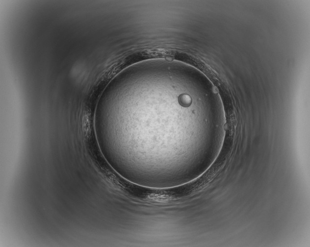 X0000116370699200912091238