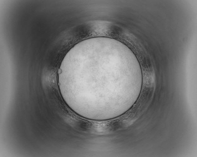 X0000116370701200912091238