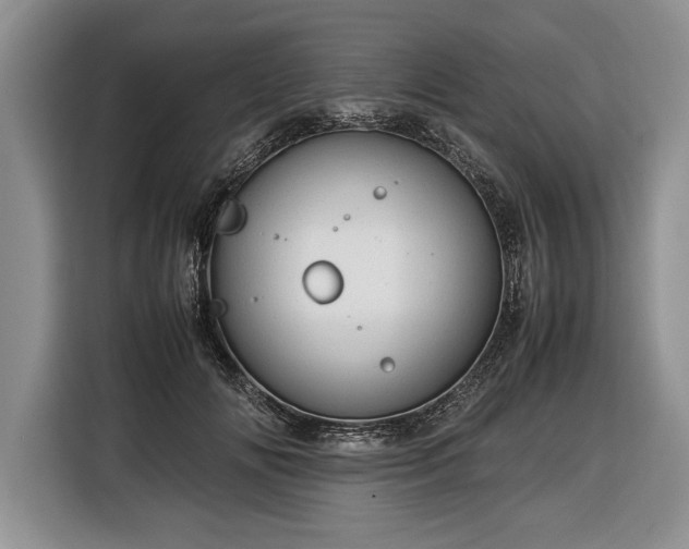 X0000116370702200912091238