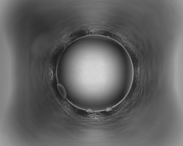 X0000116370703200912091238