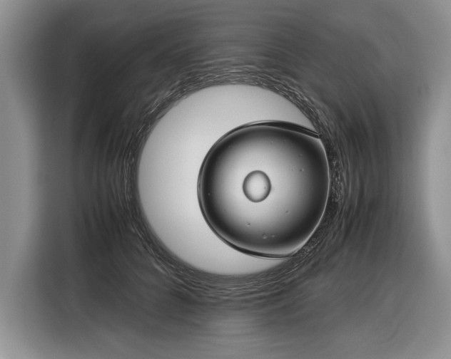 X0000116370704200912091238