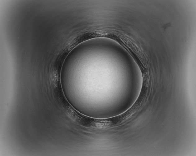 X0000116370707200912091238