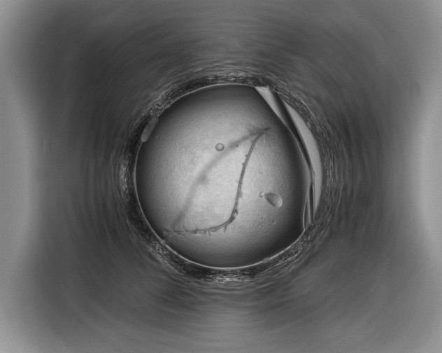 X0000116370708200912091238