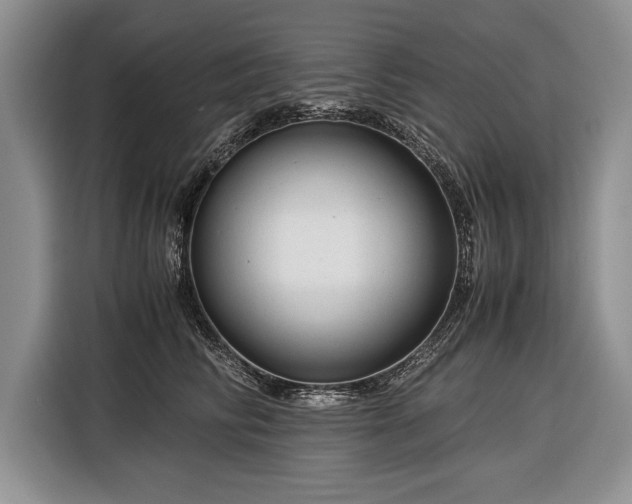 X0000116370710200912091238