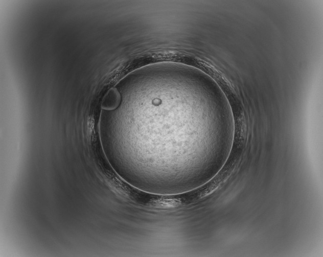 X0000116370711200912091238