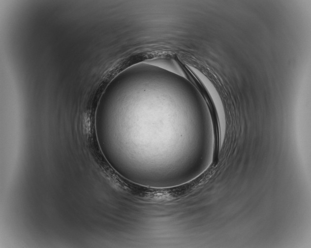 X0000116370715200912091238