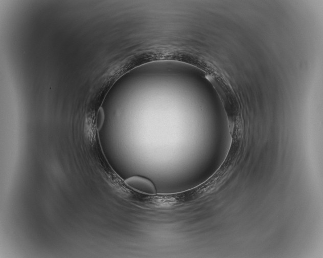 X0000116370719200912091237