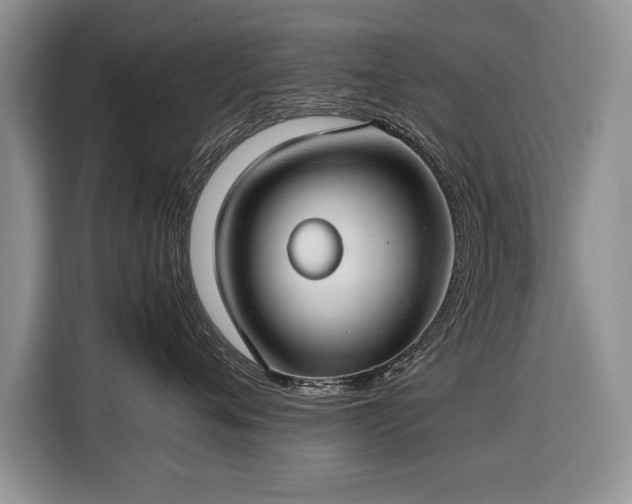 X0000116370720200912091237