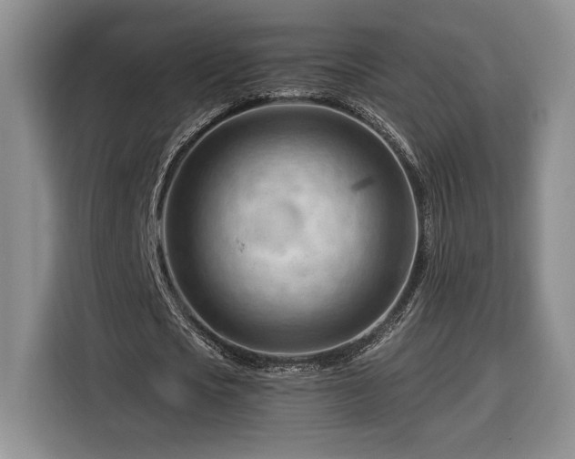 X0000116370721200912091237