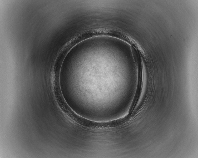 X0000116370722200912091237