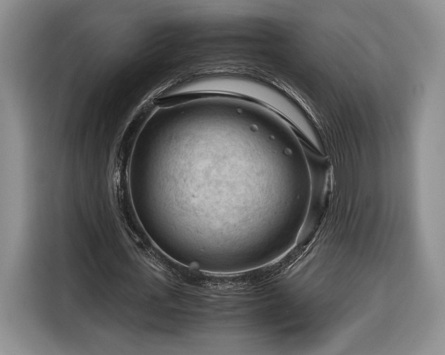 X0000116370723200912091237