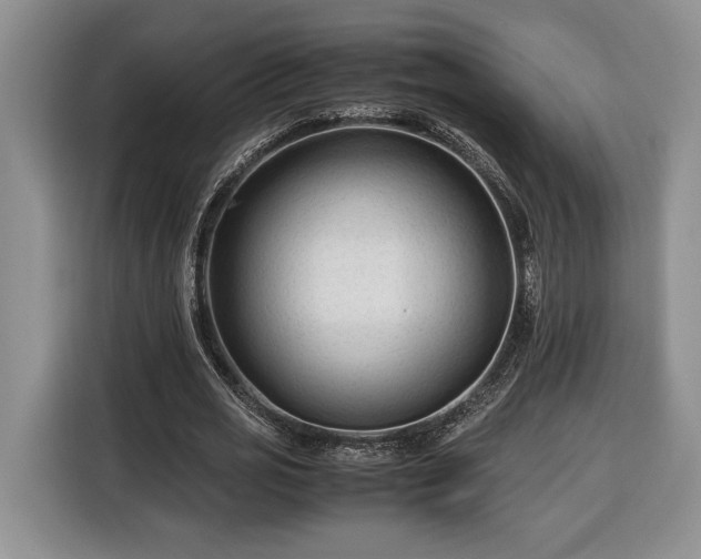 X0000116370725200912091237