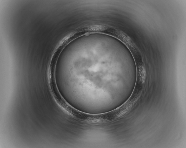 X0000116370726200912091237