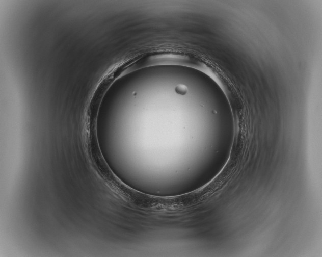 X0000116370727200912091237