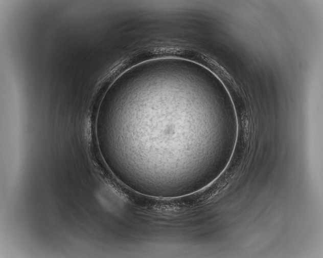 X0000116370729200912091237