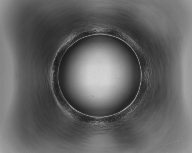 X0000116370730200912091237