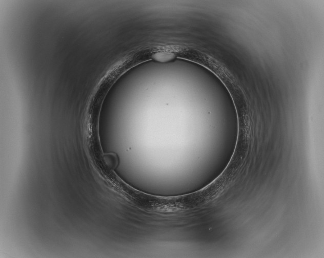 X0000116370731200912091237