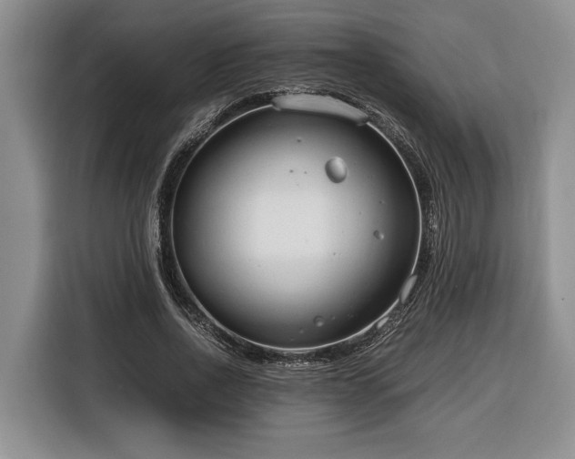 X0000116370734200912091237