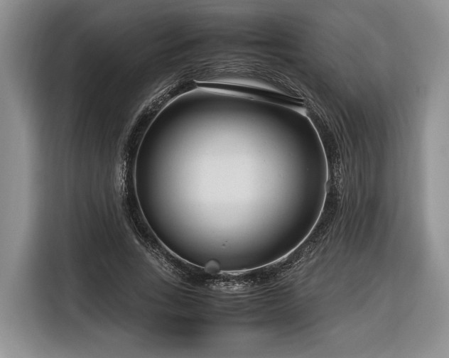 X0000116370735200912091237