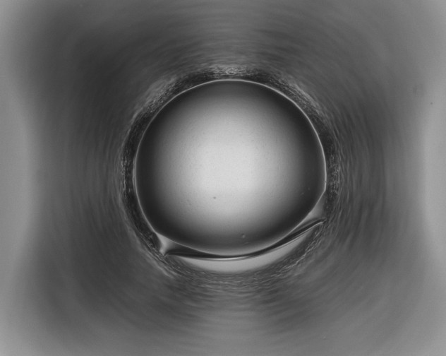 X0000116370738200912091237