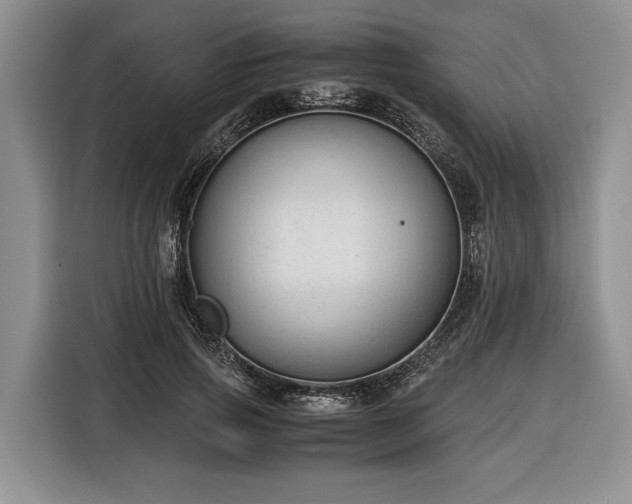 X0000116370741200912091237