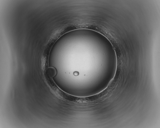 X0000116370742200912091237