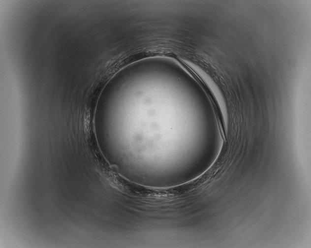 X0000116370745200912091237