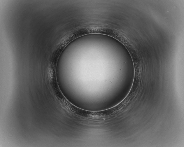 X0000116370746200912091237