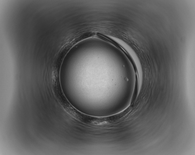 X0000116370747200912091237