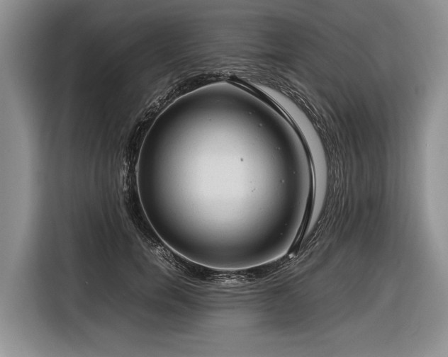 X0000116370750200912091237