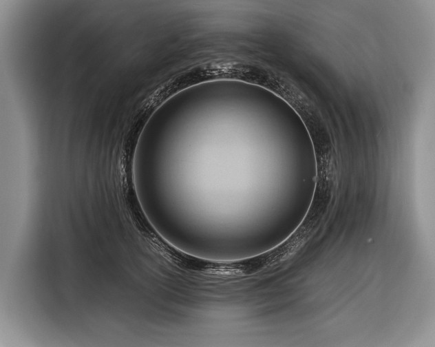 X0000116370754200912091237