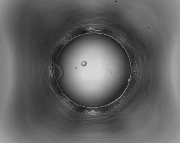 X0000116370755200912091237