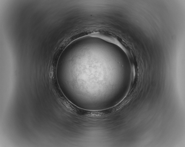 X0000116370758200912091237