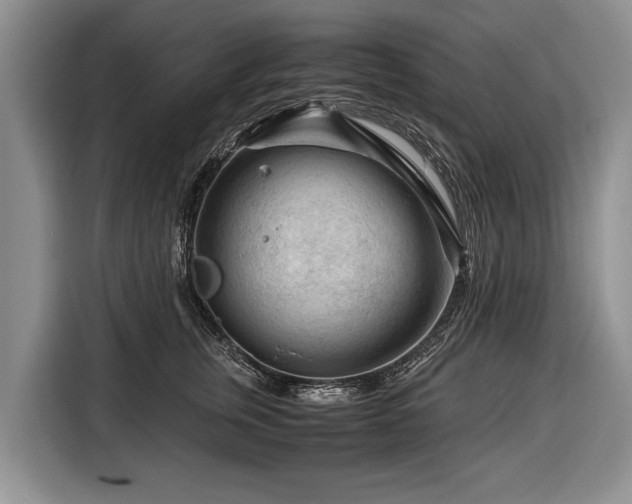 X0000116370759200912091237