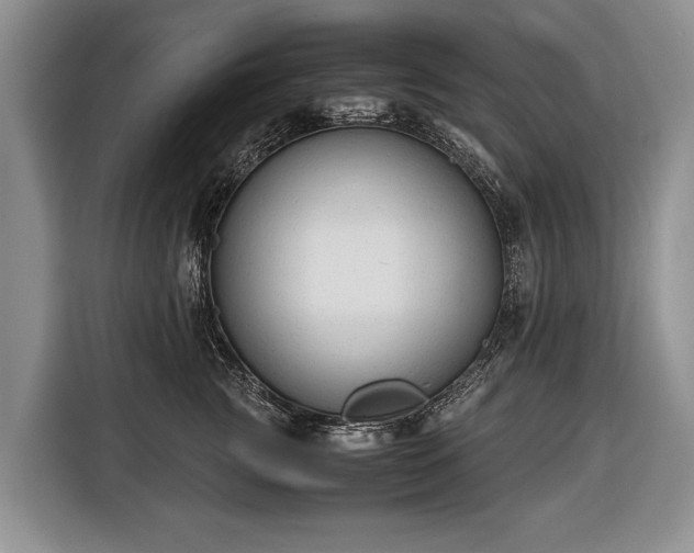 X0000116370761200912091237