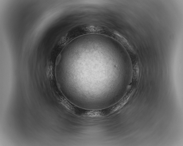 X0000116370762200912091237