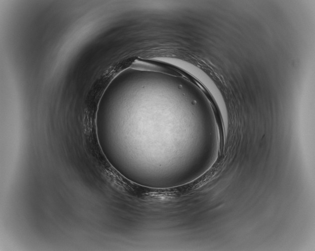 X0000116370763200912091237