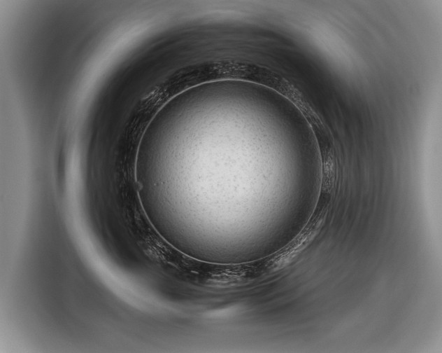 X0000116370765200912091237