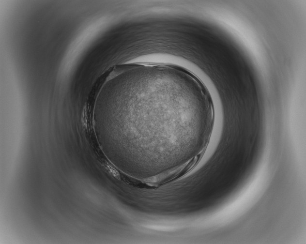 X0000116370766200912091237