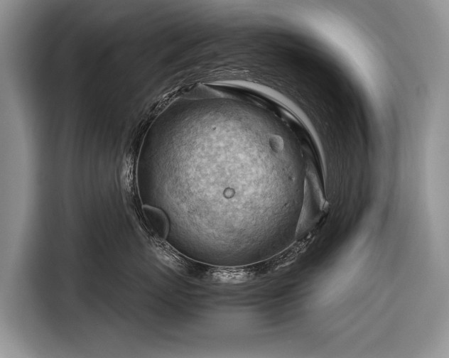 X0000116370767200912091237