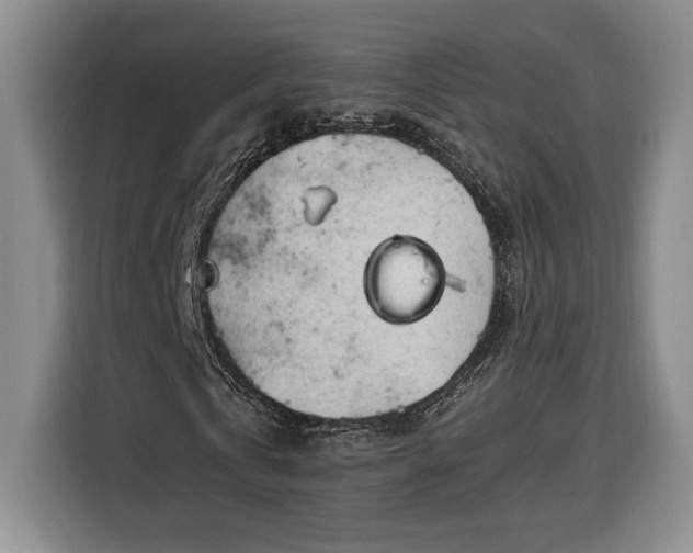 X0000116370769200912091237